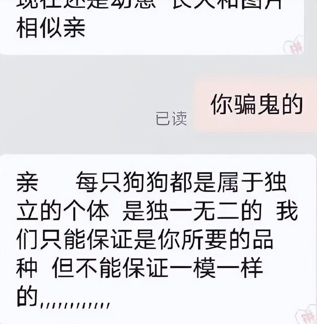 淘寶上200塊的狗狗是真的嗎，淘寶上200塊的狗狗是真的嗎能買嗎？