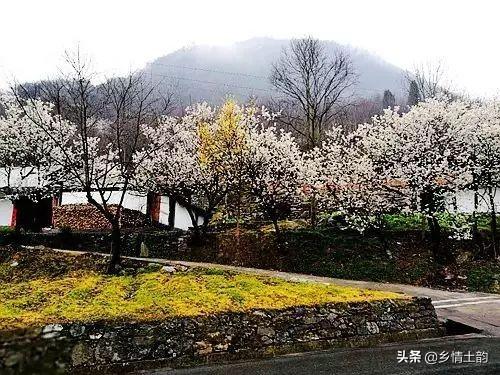 女兒發(fā)抖音的句子，抖音很火的侄女生日短句？