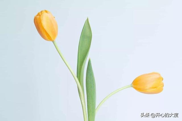 兼職財(cái)務(wù)的工資多少，兼職財(cái)務(wù)一般多少錢(qián)？