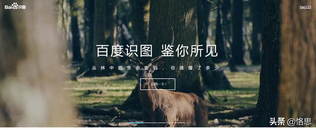 識(shí)圖百度識(shí)圖在線觀看，識(shí)圖百度識(shí)圖在線觀看視頻？