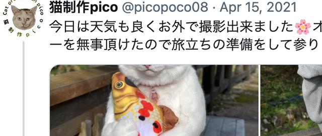 日本抖音tiktok下載，日本抖音tiktok下載好了沒內(nèi)容？