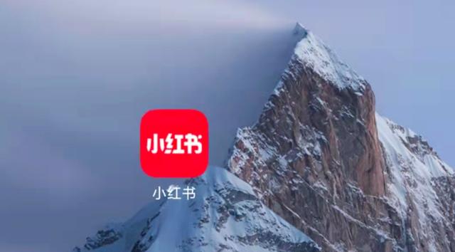 小紅書創(chuàng)始人簡(jiǎn)介怎么寫，小紅書創(chuàng)始人簡(jiǎn)介資料？