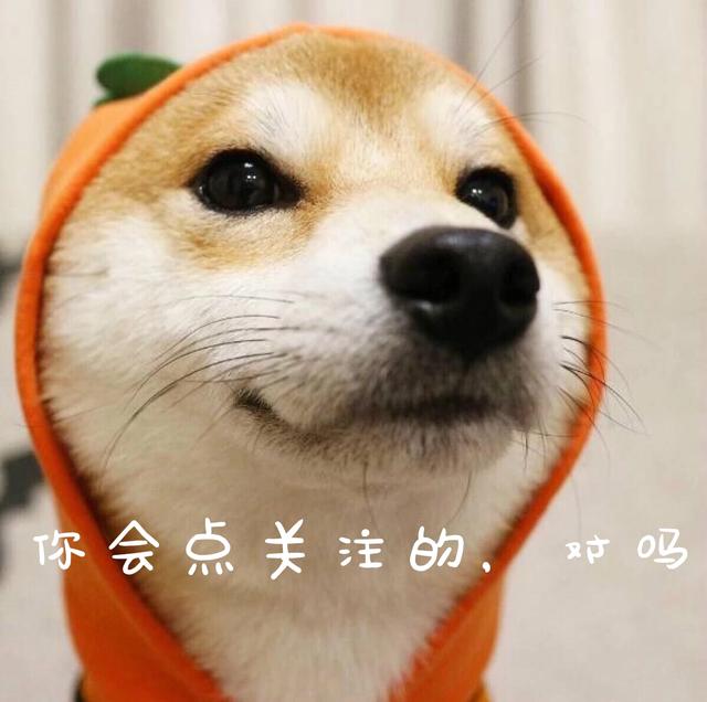 失眠發(fā)朋友圈的句子與圖片搞笑，失眠發(fā)朋友圈的句子與圖片搞笑說說？