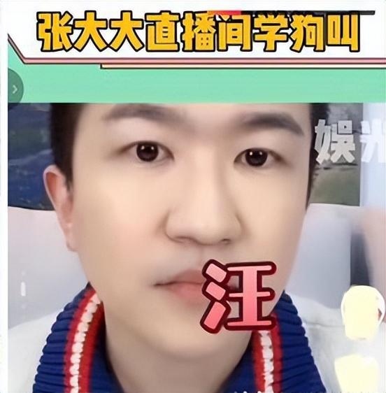 張大大直播間搞笑視頻，張大大直播間搞笑視頻大全？