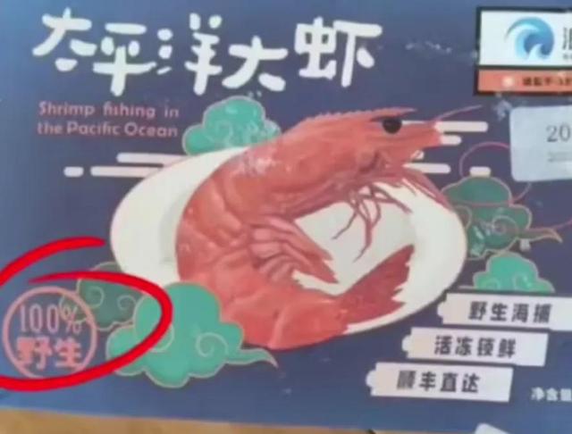 ch明明直播回放，ch明明直播明日之后？