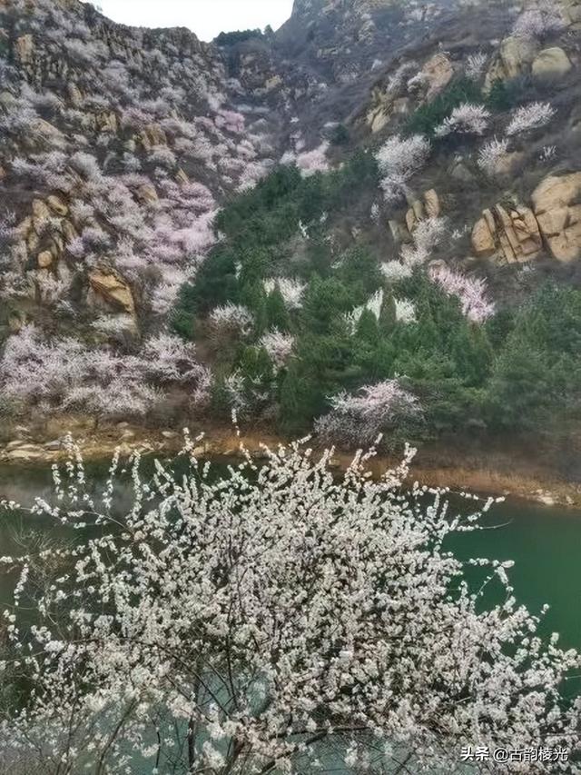 姐妹出去玩適合發(fā)朋友圈的句子沙雕，姐妹出去玩適合發(fā)朋友圈的句子沙雕圖片？