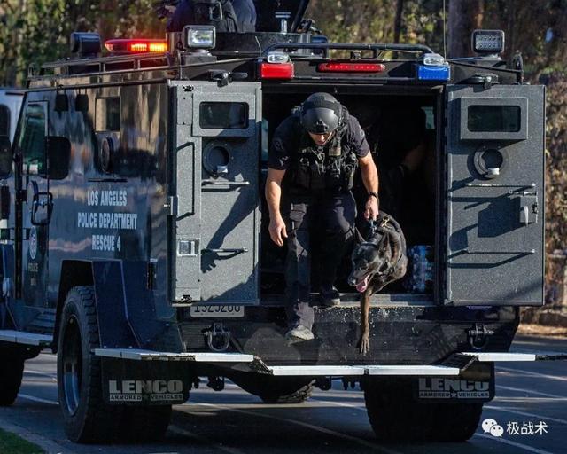 k9都要做什么，k9都要做什么字母圈？