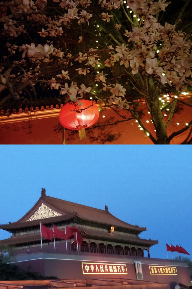 我愛(ài)你就像飛蛾撲向火是什么歌抖音，抖音上很火的你的愛(ài)就像？
