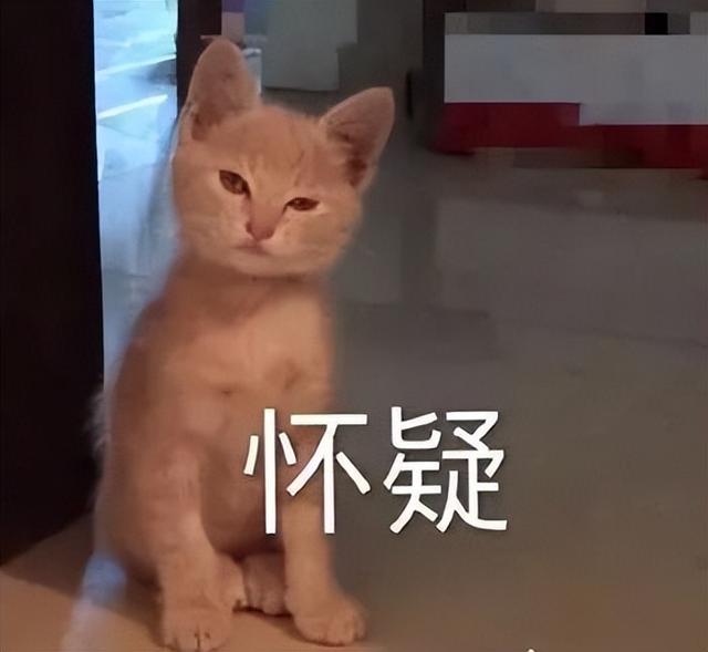 團團直播間哪里看，小團團斗魚直播間？