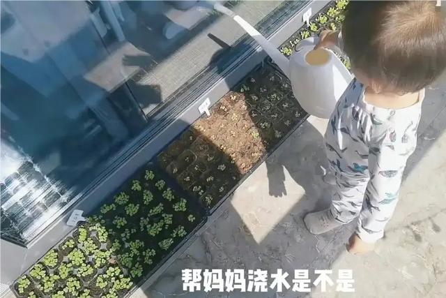 泡芙直播下載入口，下載泡芙直播平臺(tái)？