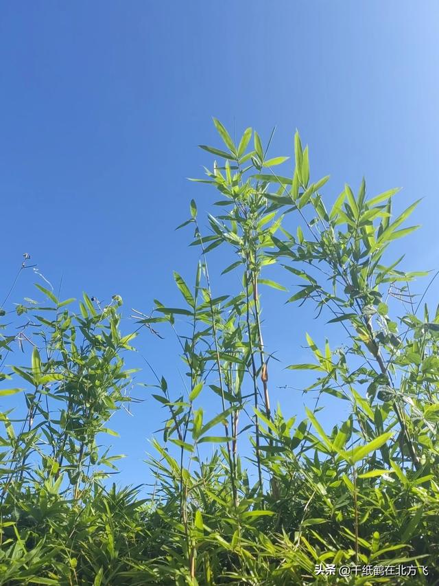 粉絲1千萬(wàn)能賺多少錢，粉絲一萬(wàn)能掙多少錢？