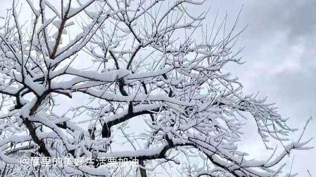 一些不起眼但是很暴利的項目叫什么，一些不起眼但是很暴利的項目叫什么名字