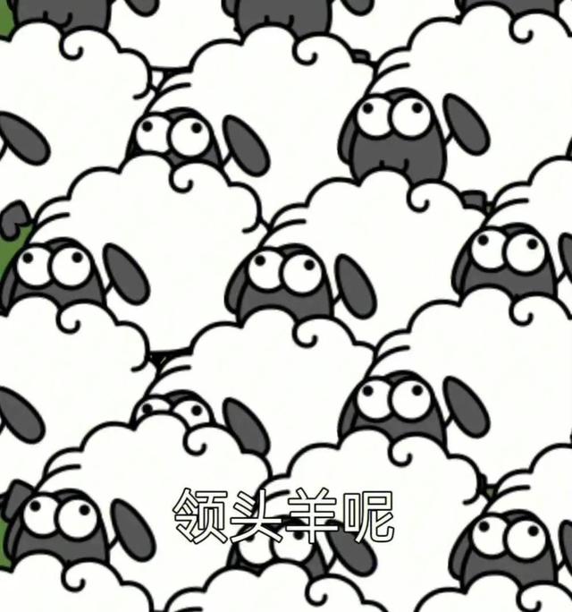 點廣告掙錢網(wǎng)站有哪些可靠，網(wǎng)站廣告賺錢？