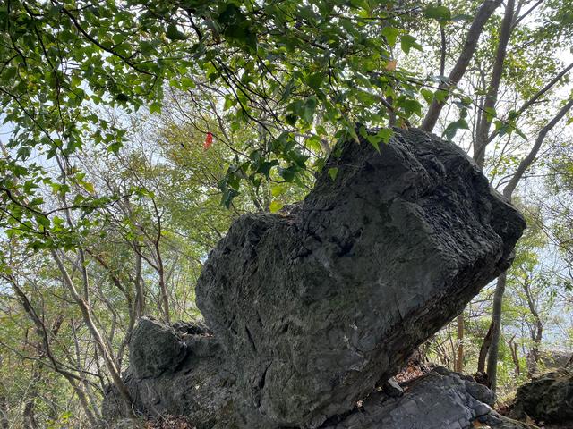 一家四口旅游發(fā)朋友圈，夫妻故地重游發(fā)朋友圈美句？