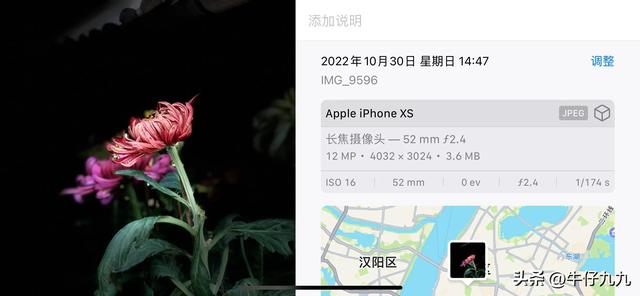 如何用手機拍出好看的菊花照片發(fā)朋友圈？