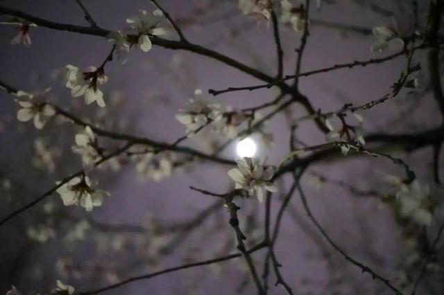 抖音上很火的歌叫夜什么歌粵語，抖音上很火的歌叫夜什么歌粵語歌名？