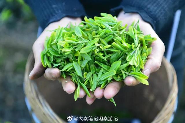 項(xiàng)目介紹的內(nèi)容模板怎么寫，項(xiàng)目介紹的內(nèi)容模板怎么寫范文？