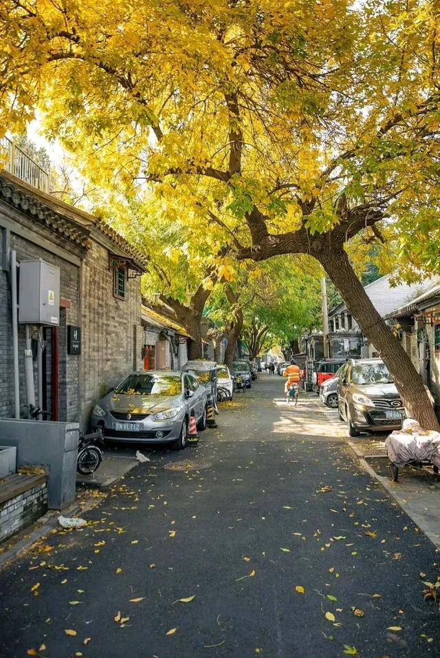 關(guān)于晚風(fēng)的朋友圈，形容晚風(fēng)愜意的朋友圈？