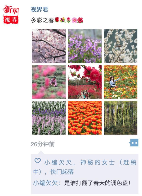 照片太普通？這幾招讓你的春日朋友圈更吸引人