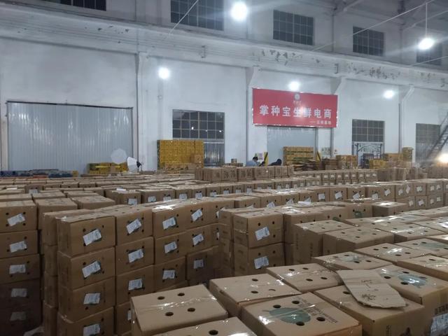 榴蓮直播平臺(tái)下載地址，榴蓮直播平臺(tái)下載地址在哪？