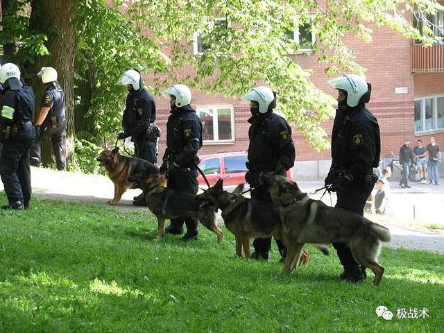 k9都要做什么，k9都要做什么字母圈？