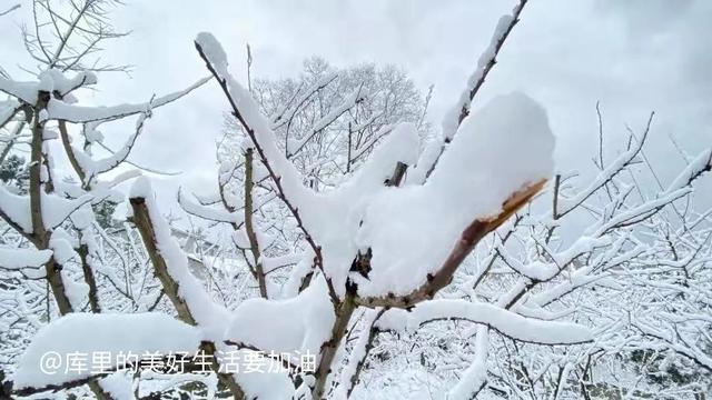 一些不起眼但是很暴利的項目叫什么，一些不起眼但是很暴利的項目叫什么名字