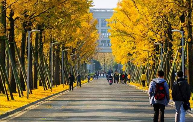 江蘇十大垃圾大學2020（江蘇十大垃圾大學四大）
