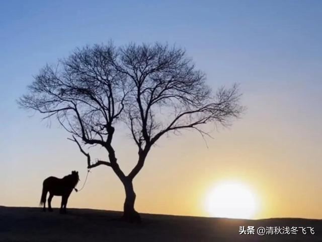 大男人直播視頻大全，大男人直播視頻大全在線觀看？