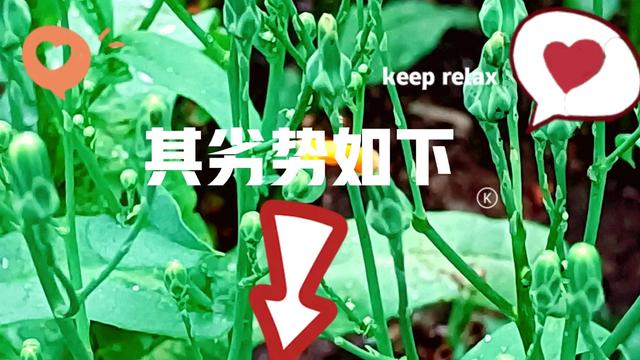 短視頻的利弊議論文八百字，短視頻的利弊議論文800字高中？