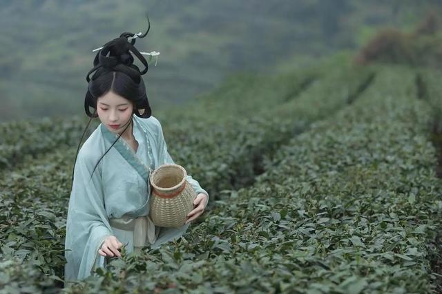 項(xiàng)目介紹的內(nèi)容模板怎么寫，項(xiàng)目介紹的內(nèi)容模板怎么寫范文？