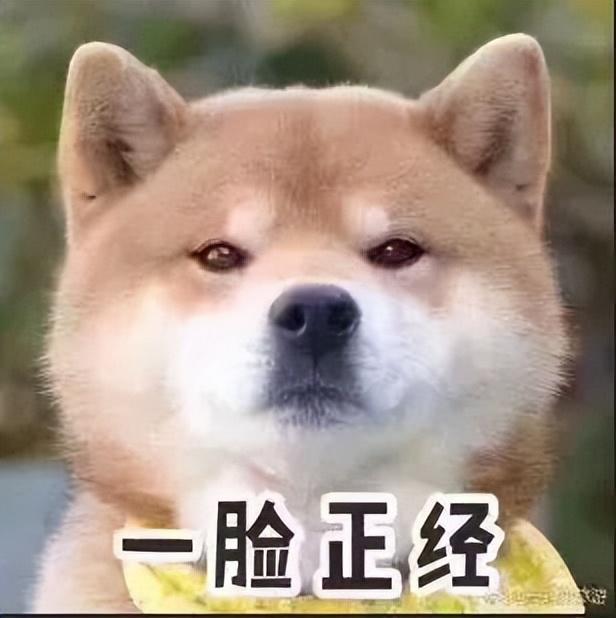 團團直播間哪里看，小團團斗魚直播間？