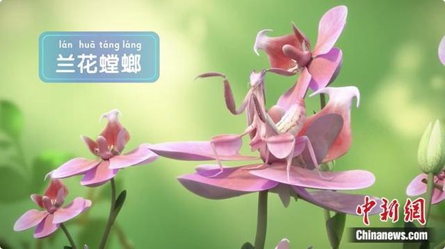 互聯(lián)網(wǎng)大會(huì)“黑科技”上新，有你喜歡的嗎？