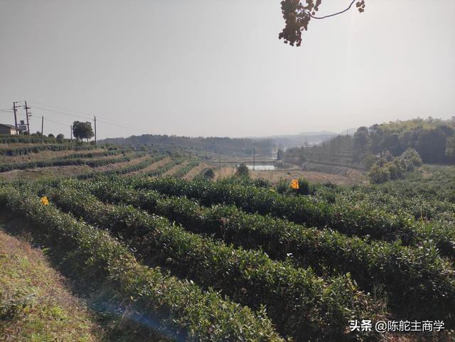快手一萬(wàn)粉絲發(fā)作品怎么賺錢，快手粉絲5000千怎么發(fā)作品掙錢？