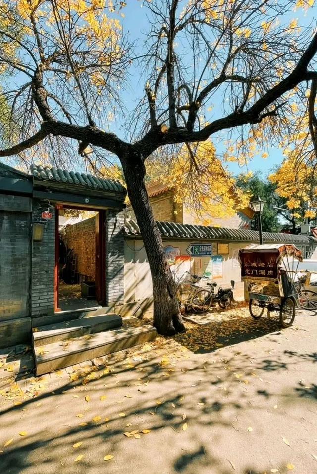 關(guān)于晚風(fēng)的朋友圈，形容晚風(fēng)愜意的朋友圈？
