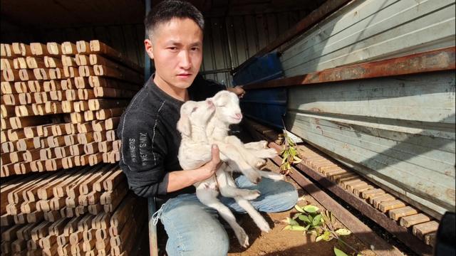 開直播需要些什么設(shè)備，開直播平臺需要什么條件？