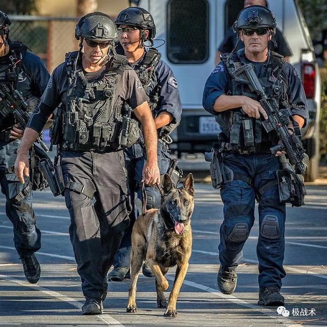 k9都要做什么，k9都要做什么字母圈？