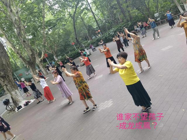 網(wǎng)紅木木森視頻，木木的一天_網(wǎng)紅？