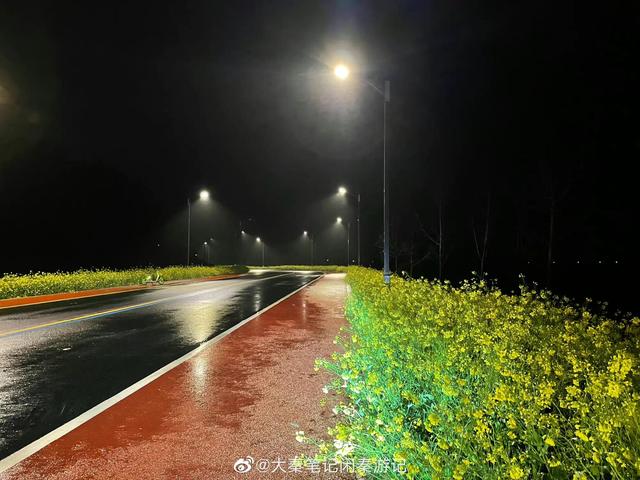 項(xiàng)目介紹的內(nèi)容模板怎么寫，項(xiàng)目介紹的內(nèi)容模板怎么寫范文？