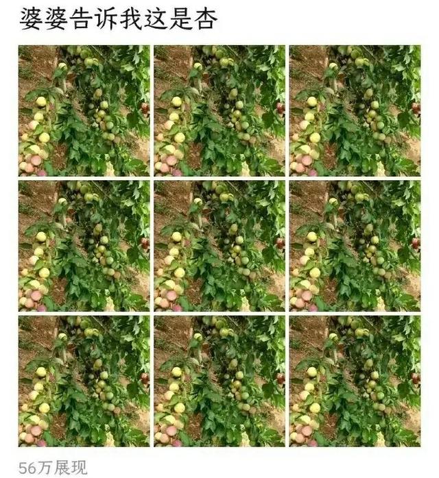 抖音流量密碼是什么意思，掌握流量密碼是什么意思？