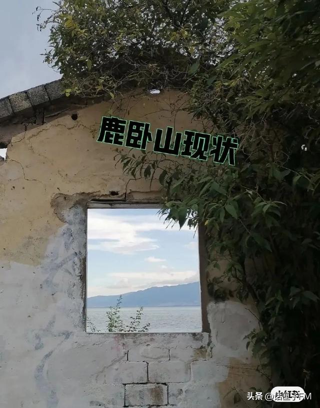 小紅書申請(qǐng)解封理由怎么寫，小紅書解封申訴內(nèi)容怎么寫？