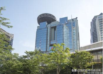 日本電視臺(tái)直播網(wǎng)站四十雀（日本電視臺(tái)直播網(wǎng)站花樣滑冰）