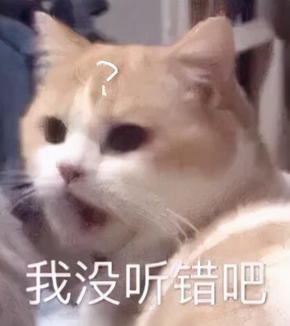 淘寶金牌賣家是什么意思，淘寶金牌賣家是什么意思能看到使用月卡嗎？