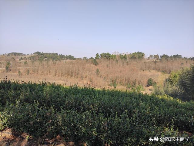 快手一萬(wàn)粉絲發(fā)作品怎么賺錢，快手粉絲5000千怎么發(fā)作品掙錢？
