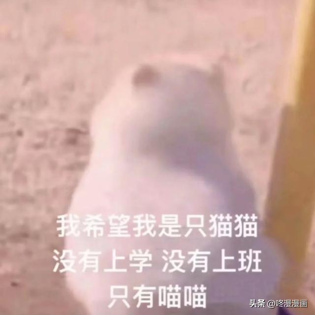 咚漫提前免費(fèi)公眾號(hào)，咚漫漫畫免費(fèi)嗎？