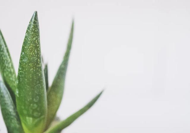 百度拍照測手相功能在哪，百度拍照測手相功能在哪里？