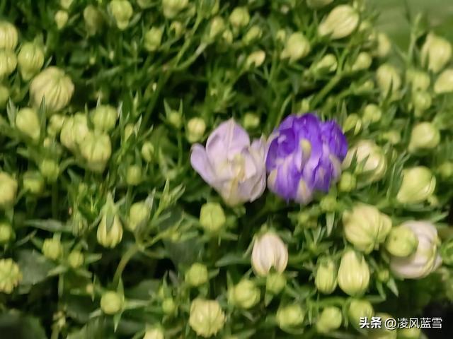 京東快遞怎么讓菜鳥驛站代收，京東快遞怎么讓菜鳥驛站代收_怎樣取件？