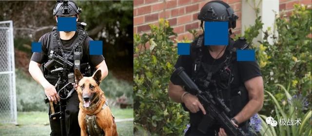 k9都要做什么，k9都要做什么字母圈？