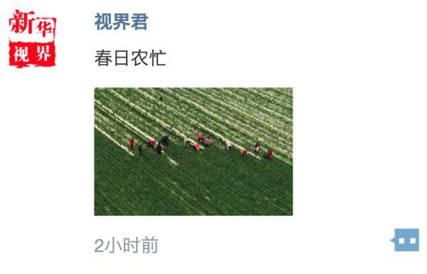 照片太普通？這幾招讓你的春日朋友圈更吸引人