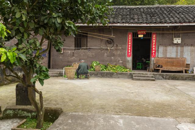 不想打工有什么辦法賺錢呢，不想打工有什么辦法賺錢呢女生？