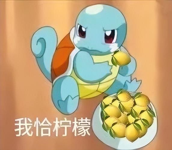 團團直播間哪里看，小團團斗魚直播間？